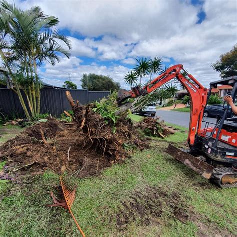 mini excavation gold coast|earthmoving equipment hire.